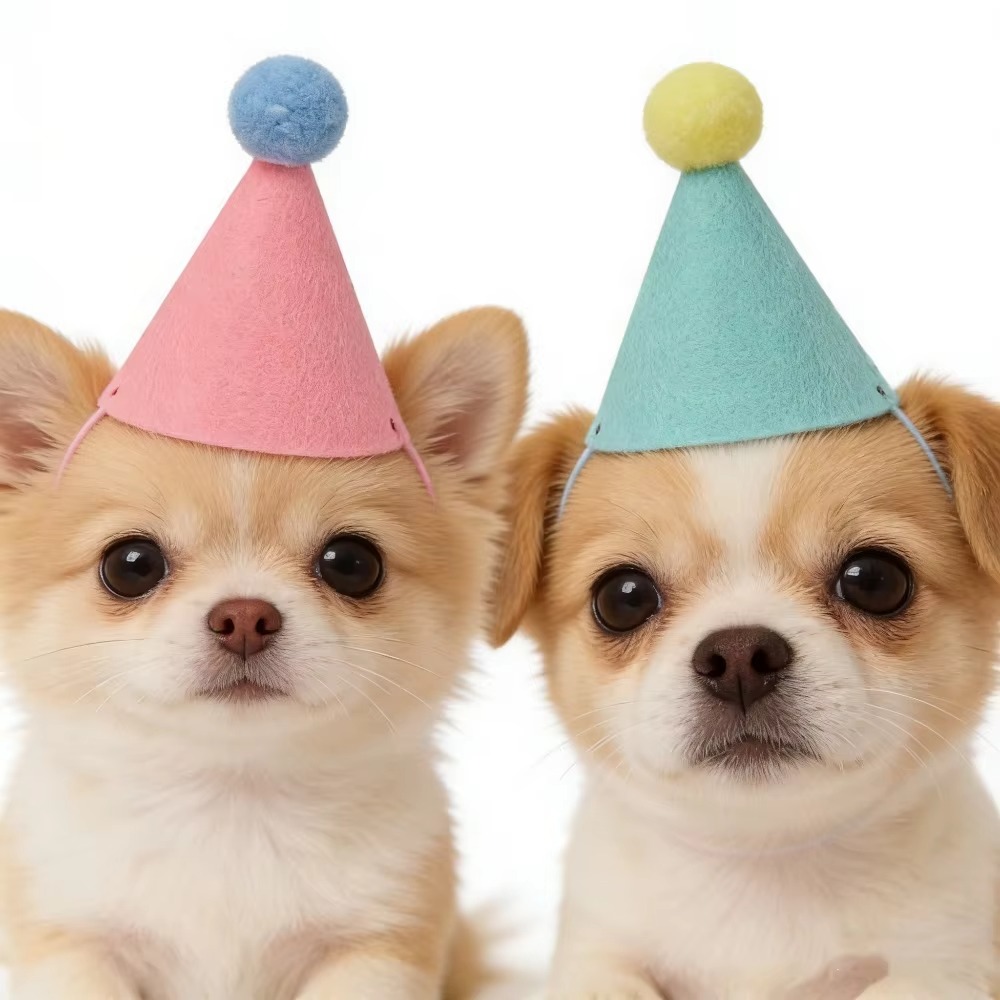 6/12 Stück niedliche Mini-Haus – Party Hat Cone Bewertung und Preis